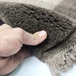 گبه پشمی های سرای پشم
